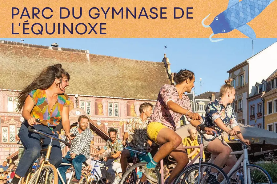 visuel bande à tyrex
