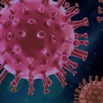 Information Préfecture du Rhône - Augmentation du nombre de cas d'Influenza 